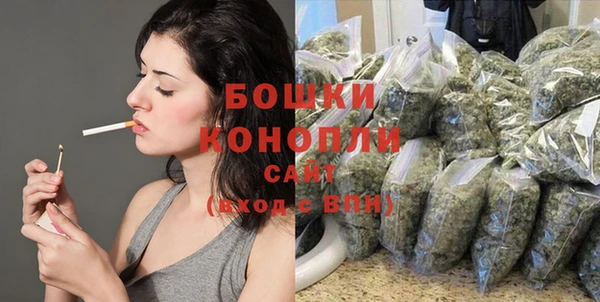 прущие крисы Вязьма