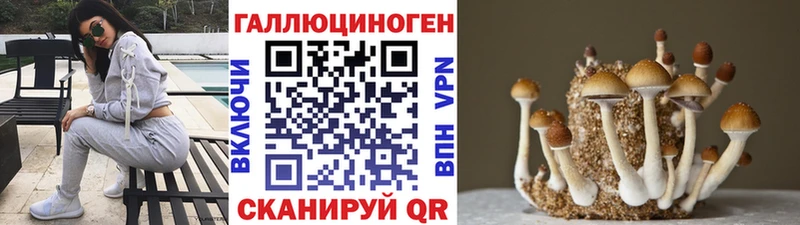 Галлюциногенные грибы Magic Shrooms  ссылка на мегу сайт  Брянск 